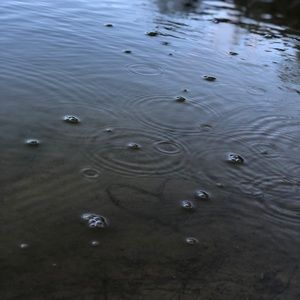 Meet your Posher, Larissa